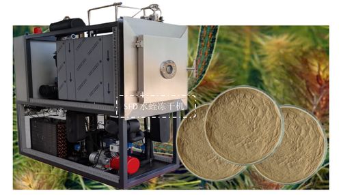 生物制品冻干机在水蛭冻干粉加工中的应用