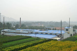 科技伪装下的食品安全危机 地沟油流向餐桌的生物制品黑幕