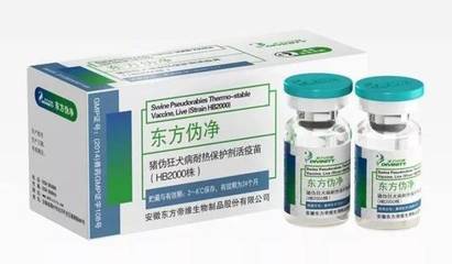 投票倒计时三天 谁能摘得年度最具影响力奖项？